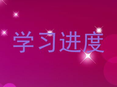 学习进度