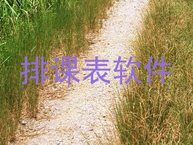 排课表软件