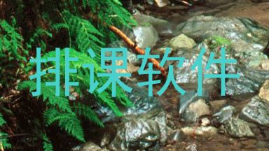 排课软件