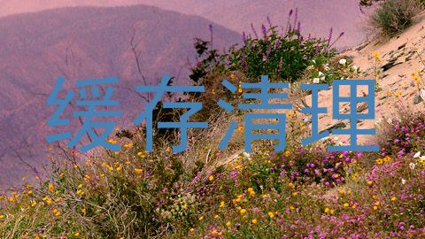缓存清理