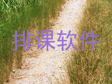 排课软件