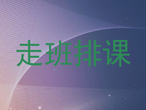 走班排课