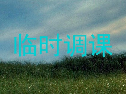 临时调课
