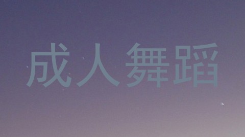 成人舞蹈