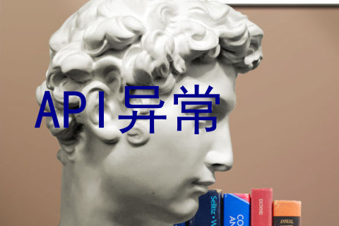API异常