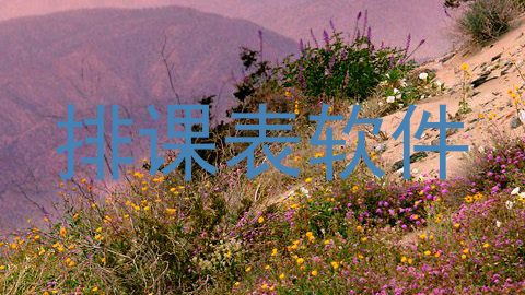排课表软件