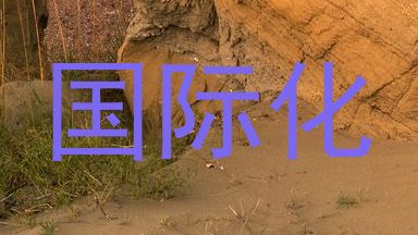 国际化