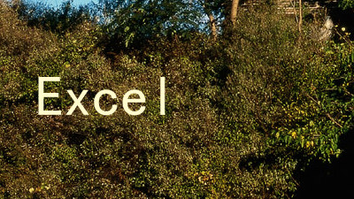 Excel