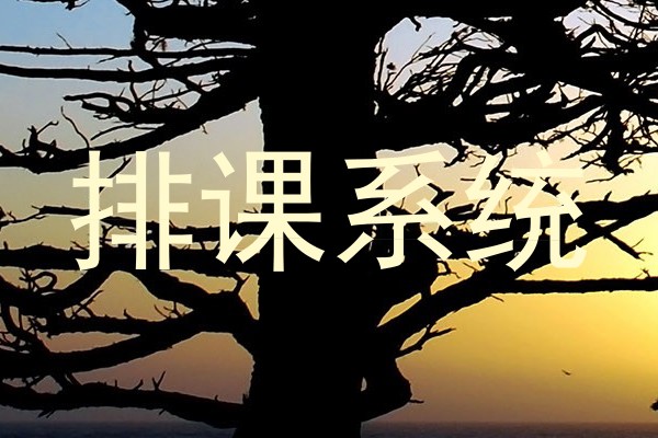 排课软件
