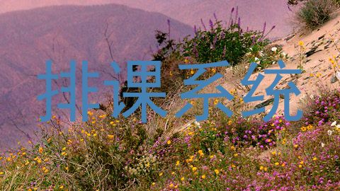 排课系统