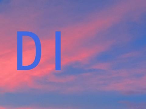 DI