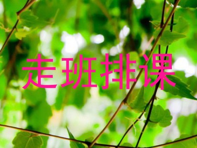 走班排课