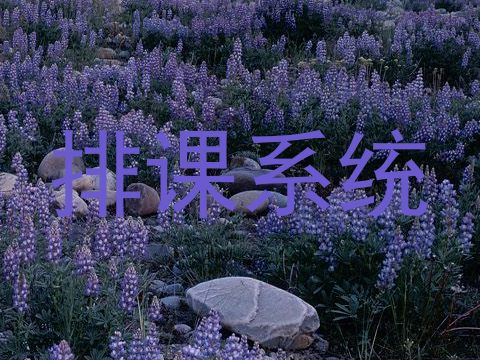 排课系统