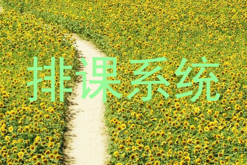 排课系统