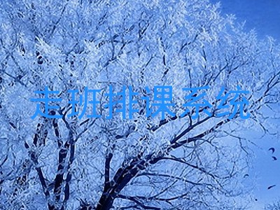 走班排课系统