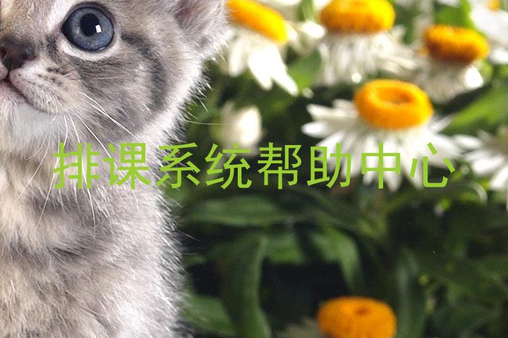 排课系统帮助中心