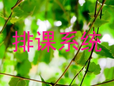 排课系统
