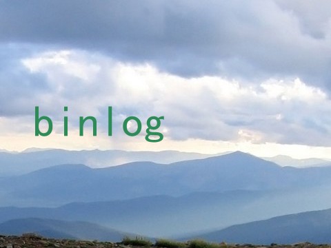 binlog