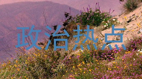 政治热点