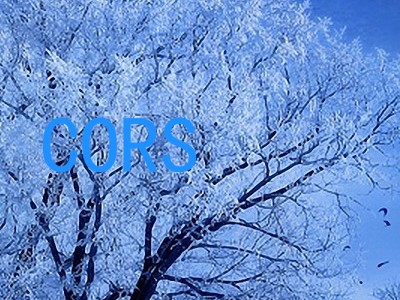 CORS