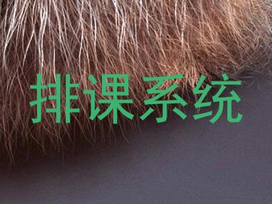 排课系统