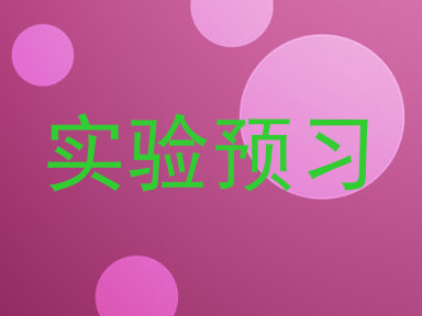 实验预习
