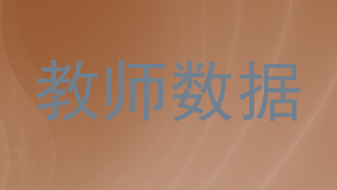 教师数据