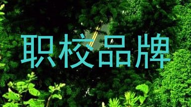职校品牌