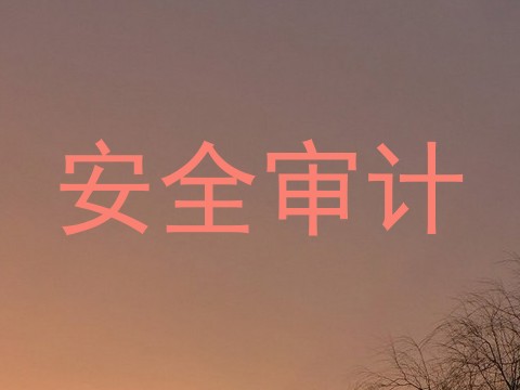 安全审计