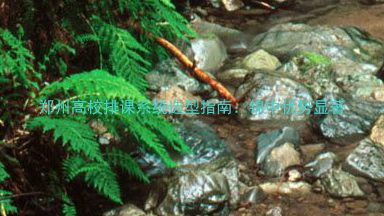 郑州高校排课系统选型指南:锦中优势显著