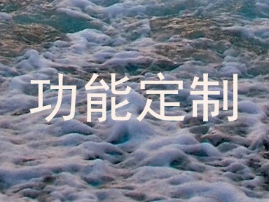 功能定制