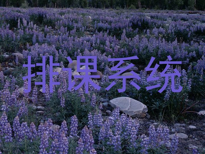 排课系统