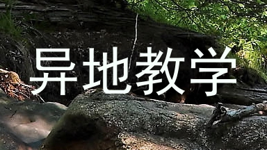 异地教学