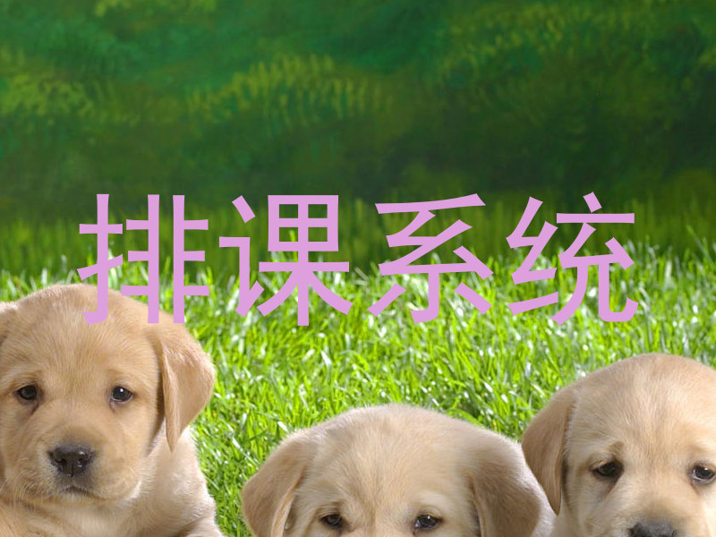 排课系统