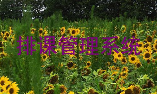 排课管理系统