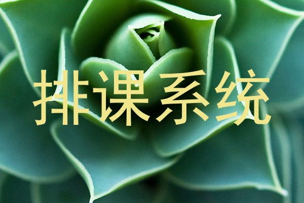 排课系统