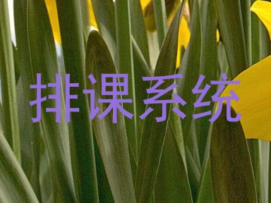 排课系统