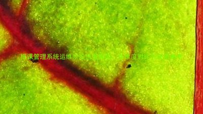 排课管理系统运维阶段选型指南:多维度对比与决策参考