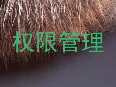权限管理