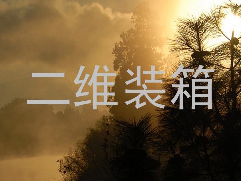 二维装箱