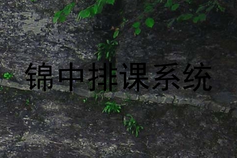 锦中排课系统