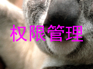 权限管理