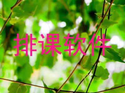 排课软件