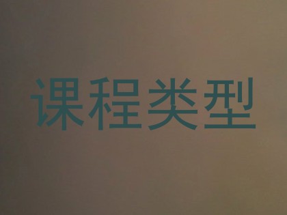 课程类型