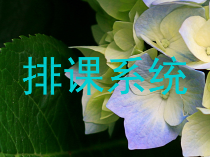 排课系统