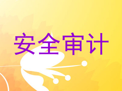 安全审计
