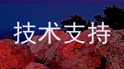 技术支持