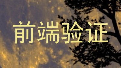 前端验证