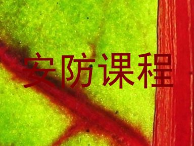 安防课程