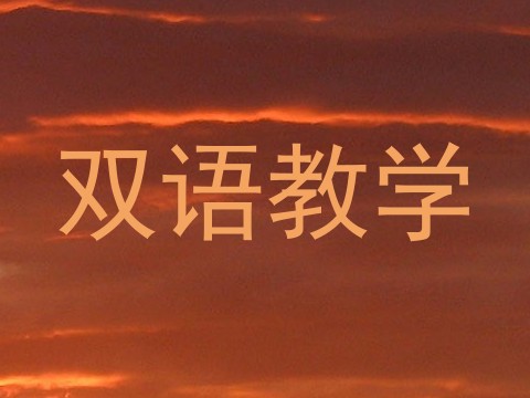 双语教学